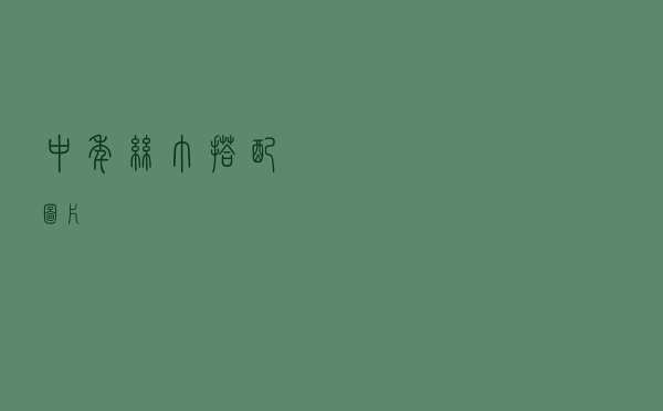 中年丝巾搭配图片