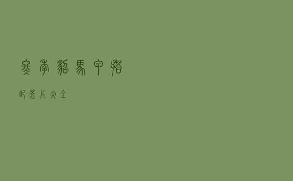 冬季貂马甲搭配图片大全