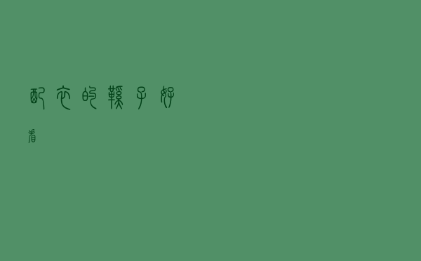 配衣的鞋子好看