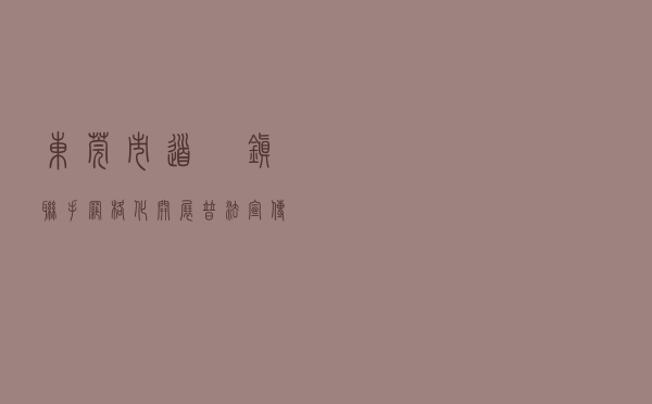 东莞市道滘镇“联手”网格化开展普法宣传