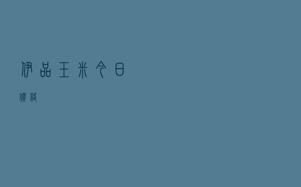 伊品玉米今日价格