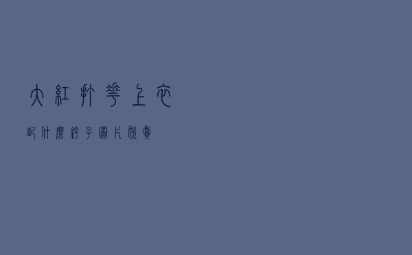 大红打花上衣配什么裤子图片欣赏