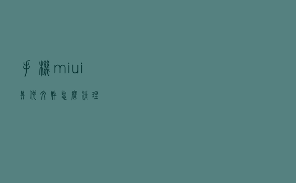 手机miui其他文件怎么清理