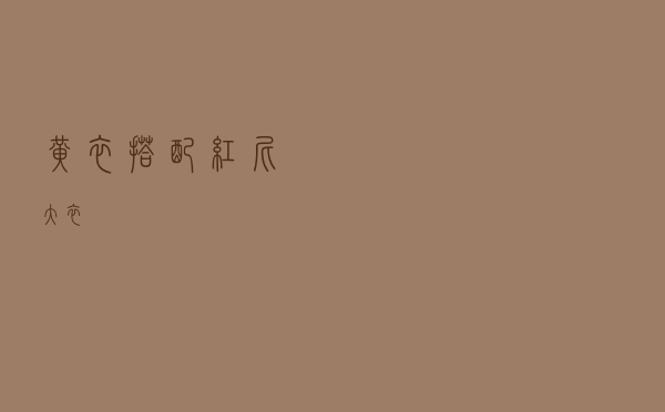 黄衣搭配红尼大衣