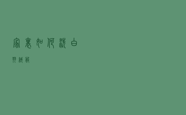 家里如何洗白羽绒服