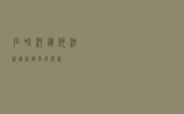 石哈河镇“依法治镇”创建有序开展