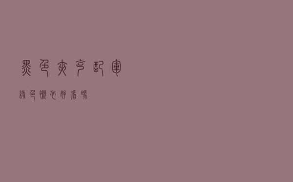 黑色夹克配军绿色衬衣好看吗