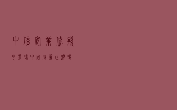 中信安业贷款可靠吗 「中安信业正规吗」