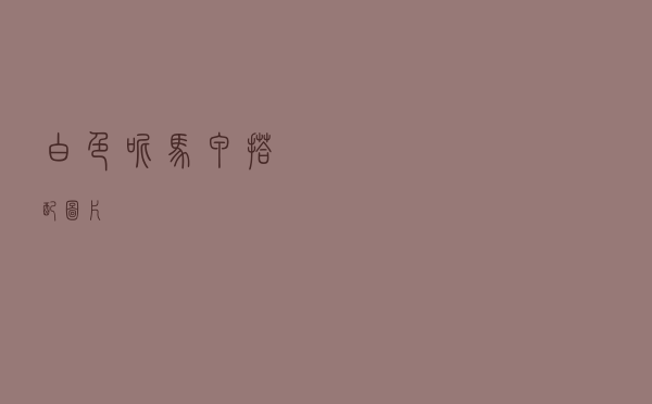 白色呢马甲搭配图片