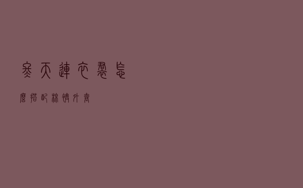 冬天连衣裙怎么搭配棉袄外套