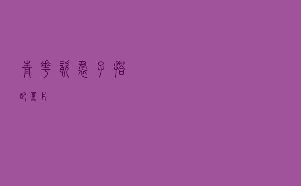 青花瓷裙子搭配图片