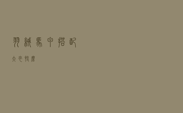 羽绒马甲搭配大衣怪么