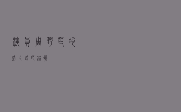 演员周野芒的照片（野芒 林冲）