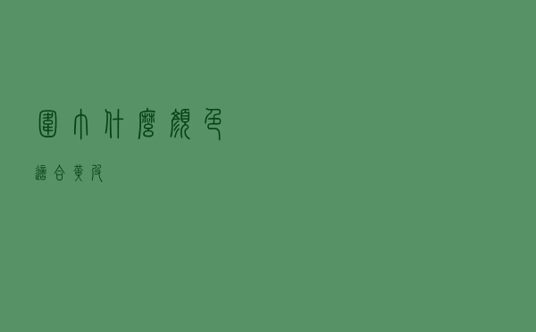 围巾什么颜色适合黄皮