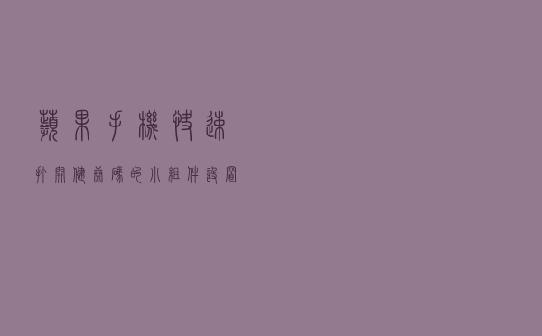 苹果手机快速打开健康码的小组件设置方法