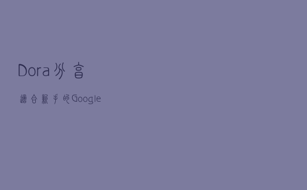 Dora分享适合新手的Google Ads 投放操作终极指南