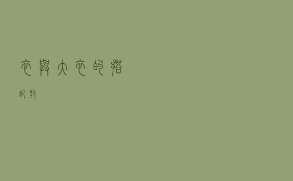 衣与大衣的搭配词