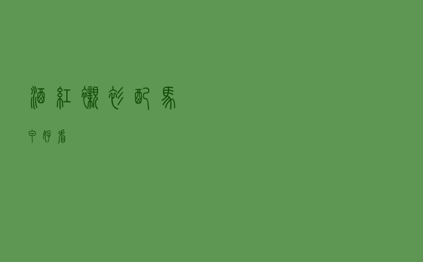 酒红衬衫配马甲好看