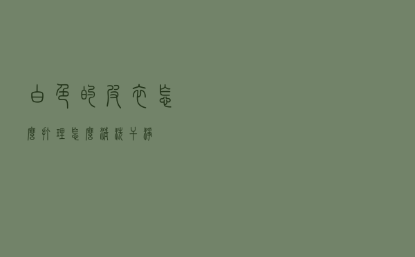 白色的皮衣怎么打理怎么清洗干净