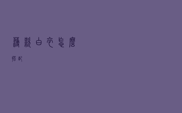 薄款白衣怎么搭配