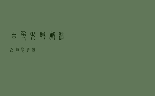 白色羽绒服沾污垢怎么洗