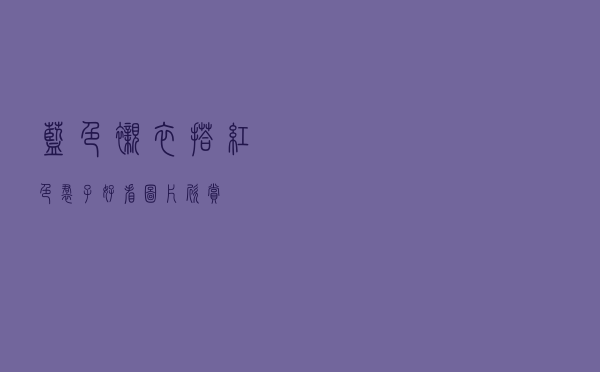 蓝色衬衣搭红色裙子好看图片欣赏