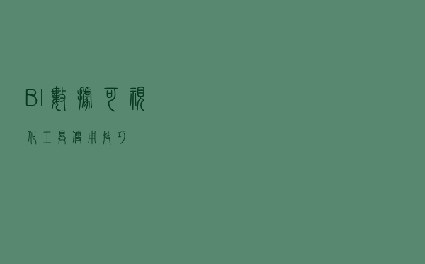 BI数据可视化工具使用技巧