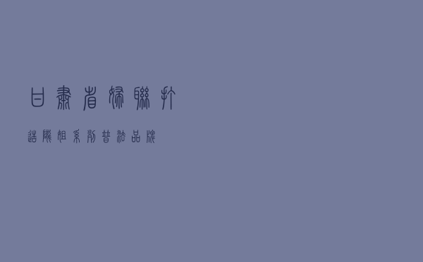 甘肃省妇联打造“陇姐”系列普法品牌