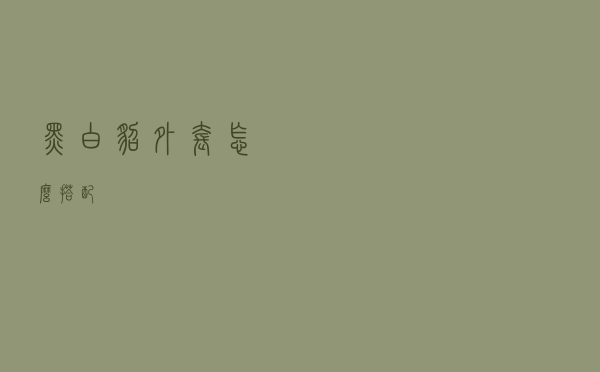 黑白貂外套怎么搭配
