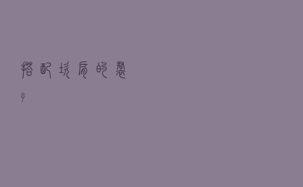 搭配坎肩的裙子