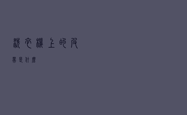 洗衣机上的皮带是什么