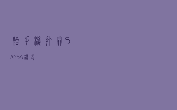 给手机打开SA+NSA模式