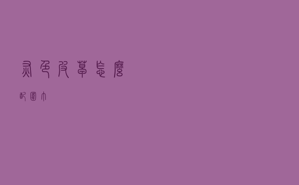 灰色皮草怎么配围巾