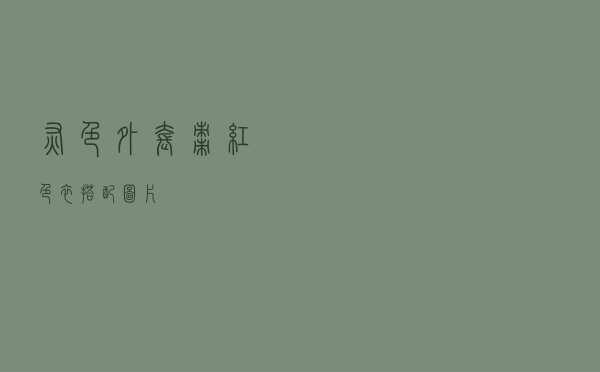 灰色外套枣红色衣搭配图片