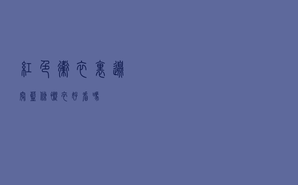 红色卫衣里边穿蓝条衬衣好看吗