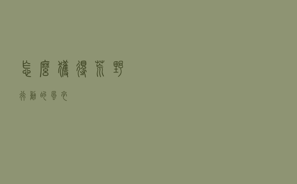 怎么获得荒野行动的风衣