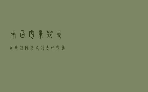 南昌市东湖区人民法院“法庭+村委”的探索与实践