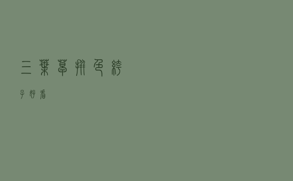 三叶草拼色裤子好看