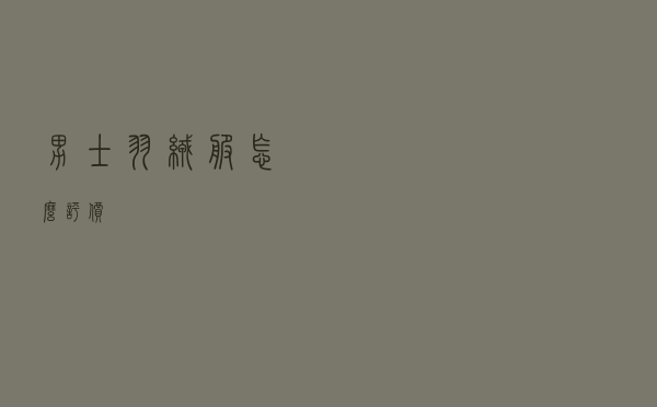 男士羽绒服怎么评价