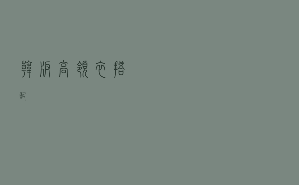 韩版高领衣搭配