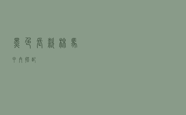 黑色长款棉马甲内搭配