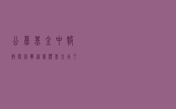 公募基金中报披露完毕 这几类基金火了！