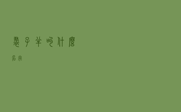 裙子半叫什么名字