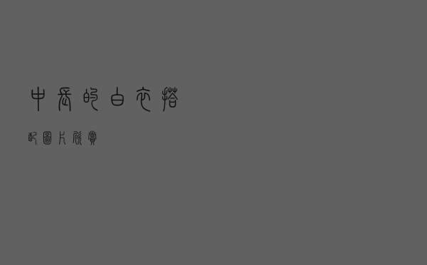 中长的白衣搭配图片欣赏