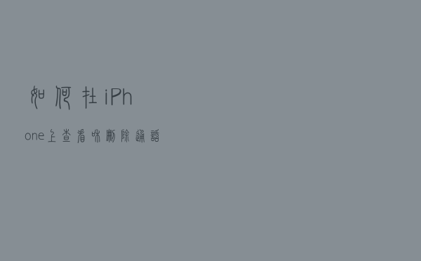 如何在 iPhone 上查看和删除通话记录？