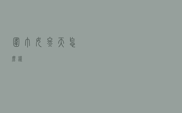 围巾女冬天怎么样